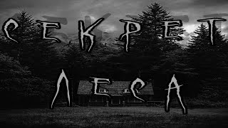 видео: СЕКРЕТ ЛЕСА. Страшная история на ночь! картинка: СЕКРЕТ ЛЕСА. Страшная история на ночь!