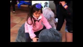 Sienna Steffi Grocery Shopping With Dad
