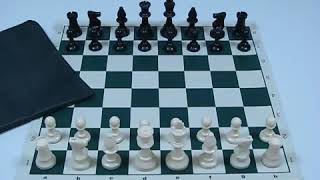 Analysis Chess Set Combo from Wholesale Chess