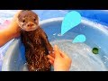 第１回【泳げないカワウソのビンゴ】初めての水遊びにビンゴもウソラーの飼い主もドキドキです