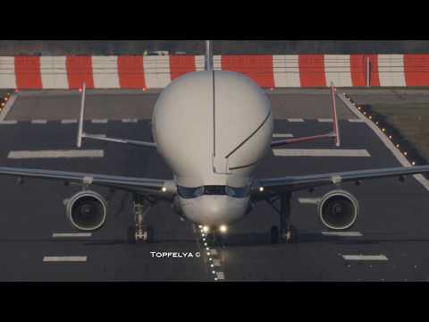 Airbus Beluga XL spectacular short landing