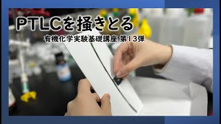 PTLCを掻きとる【有機化学実験基礎講座第13弾】