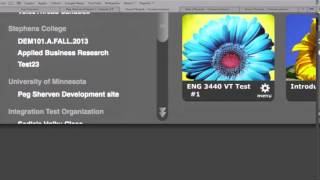 Set up Groups in VoiceThread to work with Moodle Groups