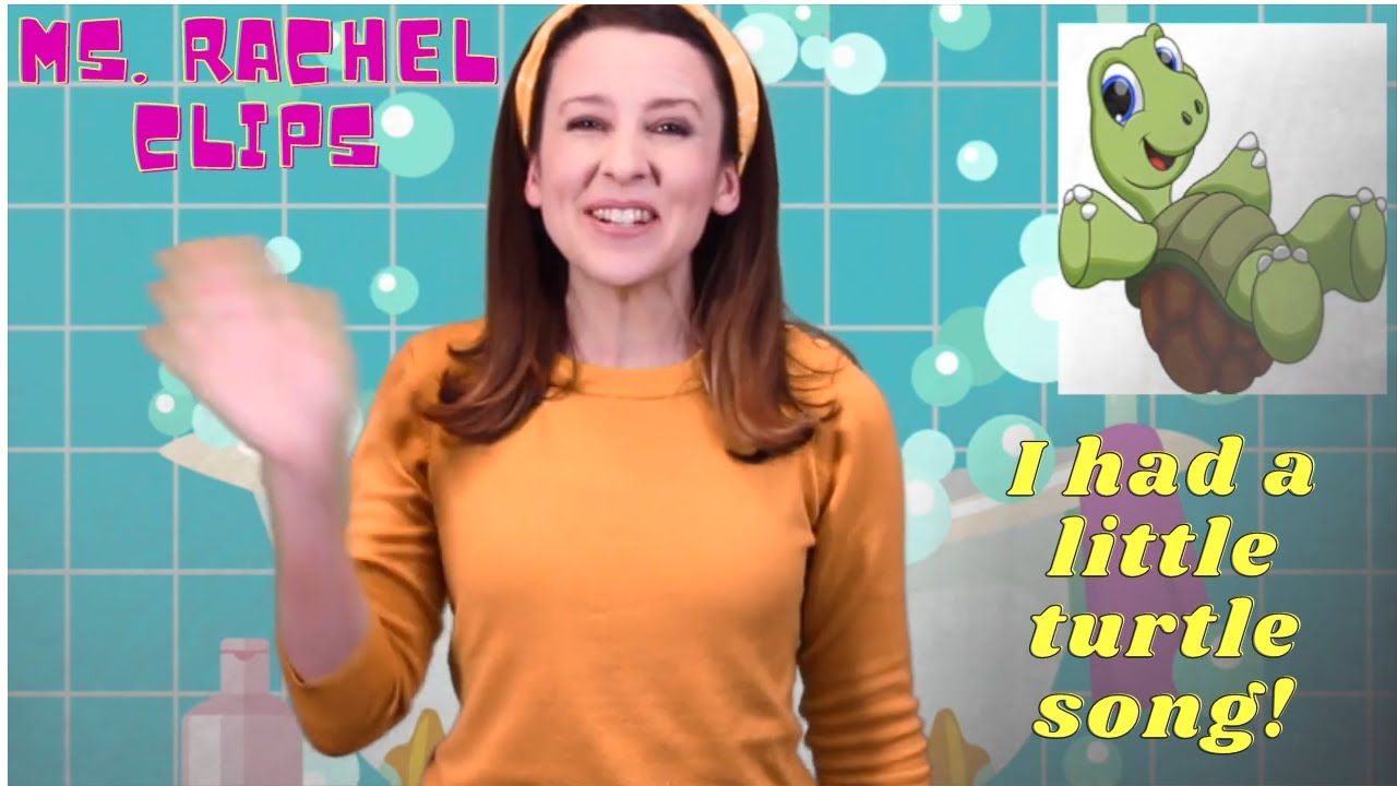 Ms Rachel Clips - Tiny Tim I Had A Little Turtle Song - YouTube