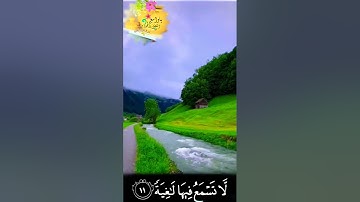 وُجُوهٌ يَوْمَئِذٍ نَّاعِمَةٌ لِّسَعْيِهَا رَاضِيَةٌ - القارئ أحمد خضر - حالة واتس أب 🌿💚