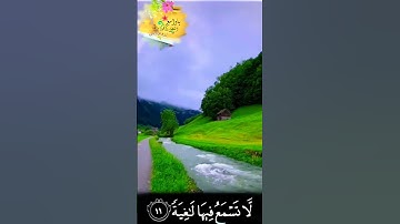 وُجُوهٌ يَوْمَئِذٍ نَّاعِمَةٌ لِّسَعْيِهَا رَاضِيَةٌ - القارئ أحمد خضر - حالة واتس أب 🌿💚