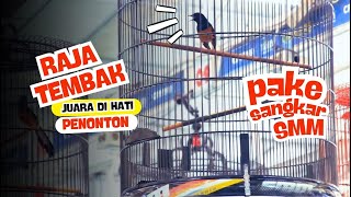 Murai RAJA TEMBAK❗ Juara Di Hati Penonton