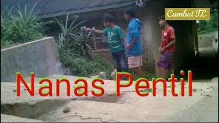 Nanas Pentil #Sembayutan
