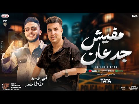 مفيش جدعان الجدعنه اصول امير قاسم طاطا مصر توزيع جديد لأول مره 2025
