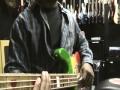 Mark white funky finger picking bass