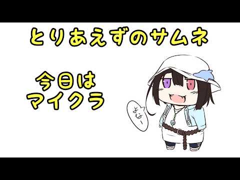 マイクラ～