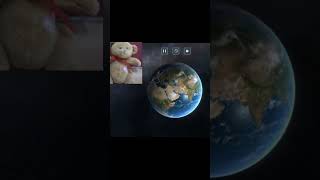 Bear🧸#shorts #new #viral #trending