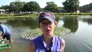 Installation of a Floating Treatment Wetland