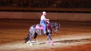 National Western Stock Show Freestyle Reining - Justin Henderson screenshot 2