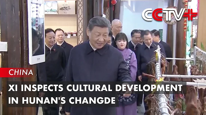 Xi Inspects Cultural Development in Hunan's Changde - DayDayNews
