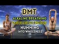 Vagus nerve humming dmt alkaline breathing  how to tone the vagus nerve 3 rounds guided