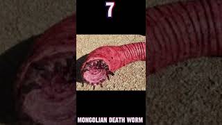 My Top 10 Favorite Cryptids.