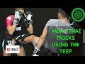 Muay Thai Tricks using the Teep in Sparring / Fighting Tutorial