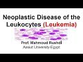 Neoplastic Disease of the Leukocytes : Leukemia (Arabic Lecture)