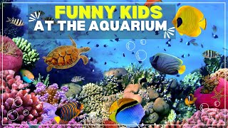 Funny kids at the aquarium || Little girls spooked by fishes || Fish Aquarium|Saanvi Wonders #shorts