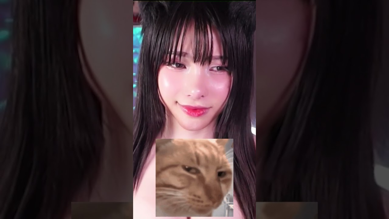 asnbny 2 fn