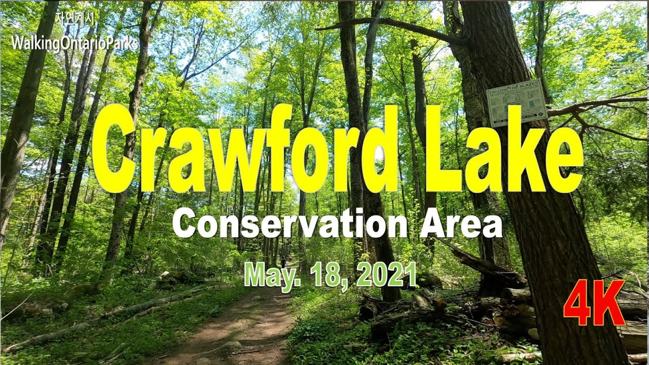 [4K] Crawford Lake Conservation Area, #4 [2021.05.18] - YouTube