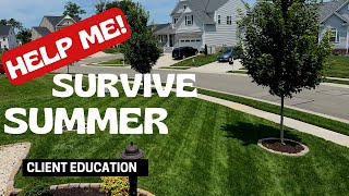 Help! Summer Heat is Killing My Lawn! | Summer Lawn Tips
