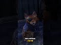 This Cat In ESO Just ROASTED Me Alfiq Khajiit Moments