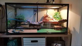 Carolina Custom Cages Terrarium, Large 36Lx18Dx18H; Easy Assembly review