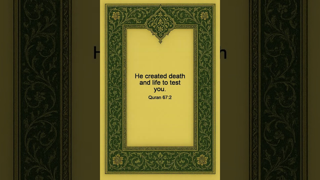 Life Is a Test, Not a Rest 