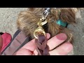 Fairwin Brown 5ft Leather Leash for Walking German Shepherds Fairwin Brown 5ft Leather Leash for Walking German Shepherds