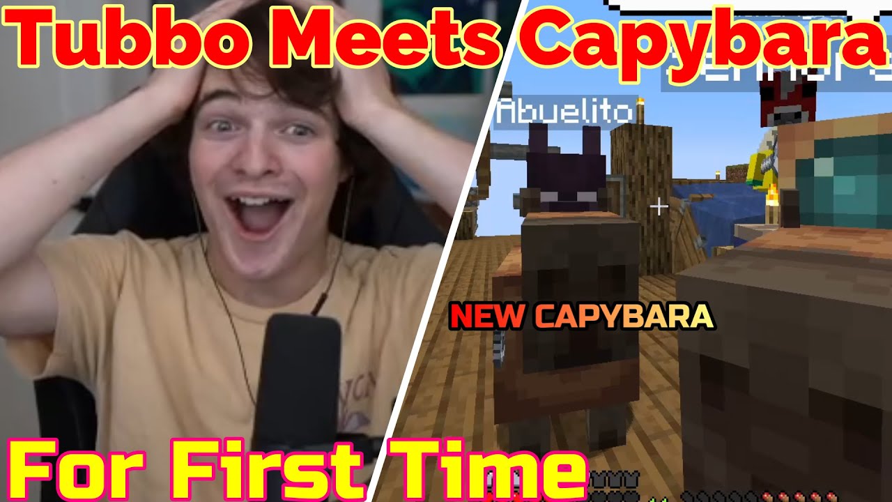 Tubbo впервые встречает капибар на QSMP Minecraft