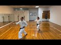 Karate Workout: stance and hip rotation training (HIIT)