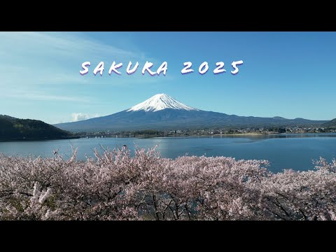 SAKURA2025