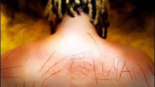 Felina - Wiu e MC Ryan SP