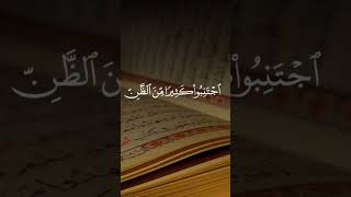 Surah Al Hujurat part 02 || Quran Recitation ❣️