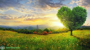 THE BEST GOOD MORNING MUSIC ➤ HAPPY Fresh Energy 528Hz