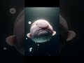 Alienígena? (Parte 2) #alien #curiosidades #natureza #viral #shorts #mistério #incrivel