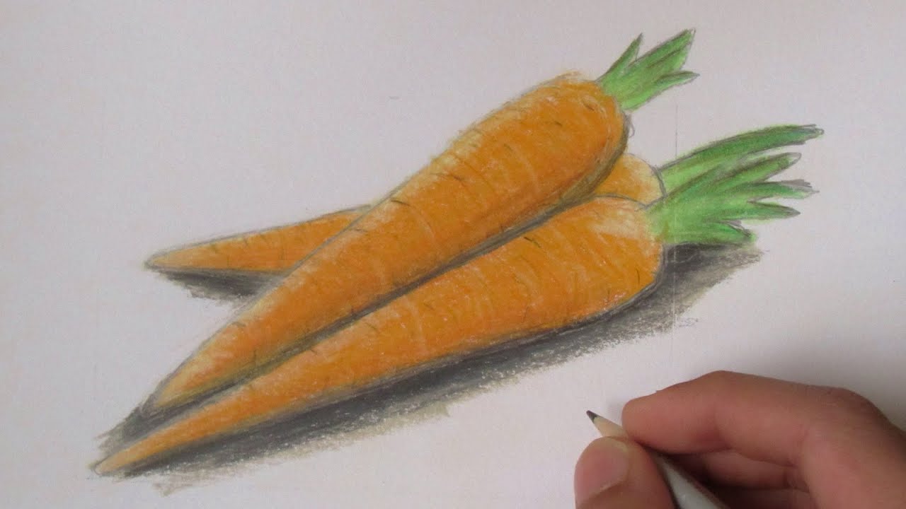 Carrot Drawing Images | Free Photos, PNG Stickers, Wallpapers & Backgrounds  - rawpixel