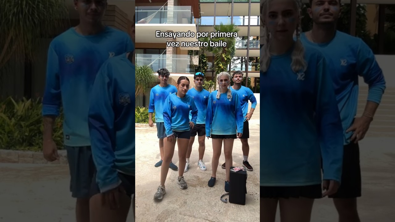 Delfines ensayando su baile por primera vez 🐬 