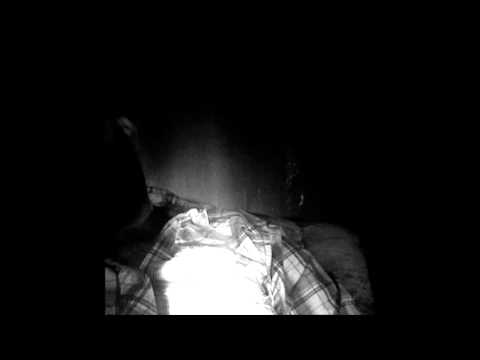Usurp Synapse — Usurp Synapse - Vile Contamina (Full)