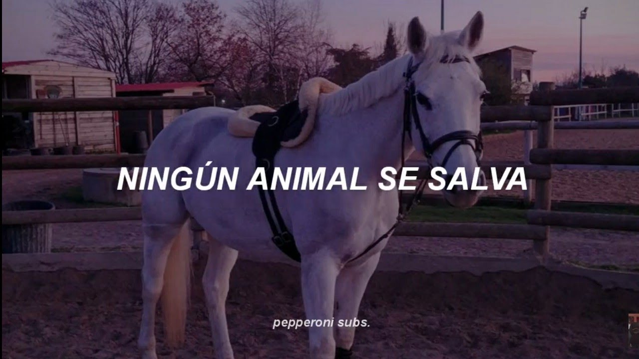 Caballo Homosexual De Las Montanas Letra