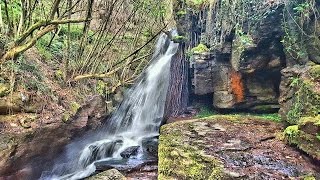 Senda del río Eifonso - Vigo [Volumen 1]