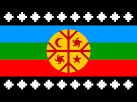 Amazon.com: Comanche Nation Flag
