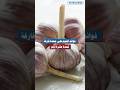 فوائد الثوم على معدة فارغة لمدة عشرة أيام صحة ثوم تغذية 
