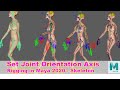 Skeleton and Joint Orientation Axis. Rigging in Maya 2020