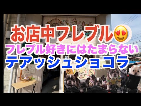 フレブル好きにはたまらない フレブルの雑貨屋さん 【 フレンチブルドッグ french_bulldog 】 テアッシュショコラ