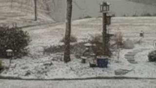 It's Snowing in New Bern North Carolina!