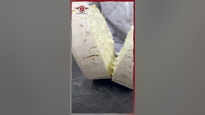 تعرف على أغلى جبن في العالم ..مصنوع من العفن !!🧀🧀