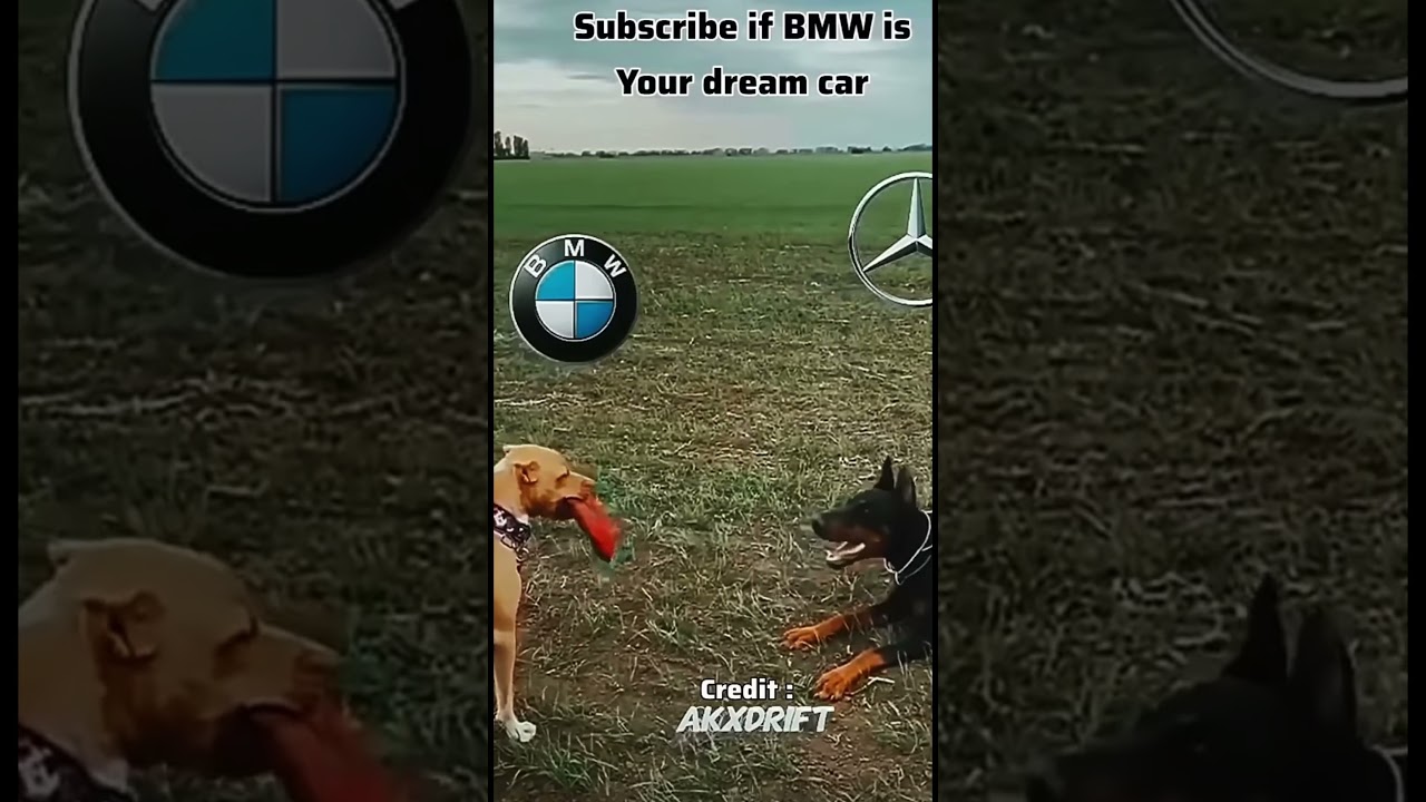 6 февраля 2026 г.